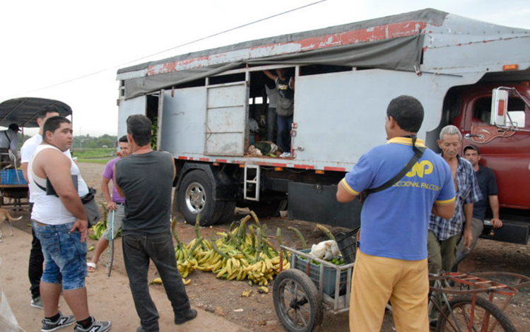 Camión con productos agropecuarios en el mercado El Caracatey, de Santa Clara. Camión con productos agropecuarios en el mercado El Caracatey, de Santa Clara.