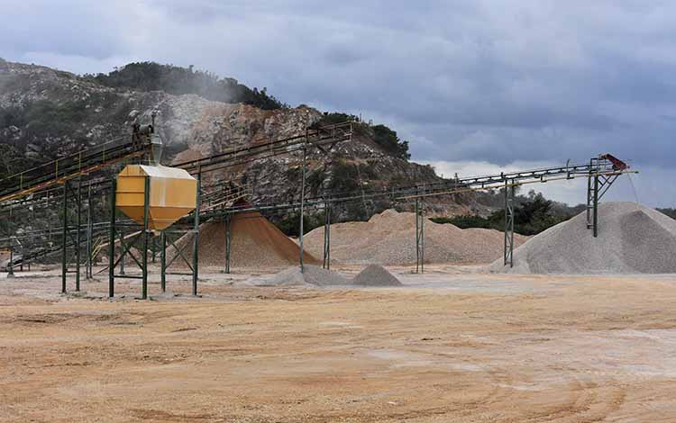 Planta Guajabana en Caibarién