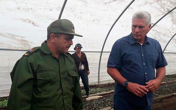 Presidente cubano, Miguel Díaz-Canel, recorre Empresa de Tabaco de San Juan y Martínez, en Pinar del Río. Presidente cubano, Miguel Díaz-Canel, recorre Empresa de Tabaco de San Juan y Martínez, en Pinar del Río.