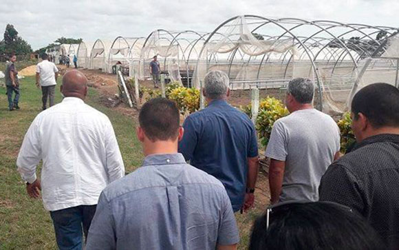 Presidente cubano, Miguel Díaz-Canel, recorre Empresa de Tabaco de San Juan y Martínez, en Pinar del Río. Presidente cubano, Miguel Díaz-Canel, dialoga con pobladores de la comunidad El Vizcaíno, en Pinar del Río.