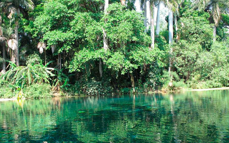 Paisaje natural de Villa Clara, Cuba. Paisaje natural de Villa Clara, Cuba.
