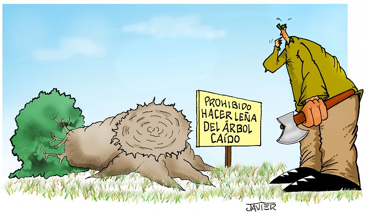 Caricatura de Javier sobre el cuidado del Medio Ambiente Caricatura de Javier sobre el cuidado del Medio Ambiente