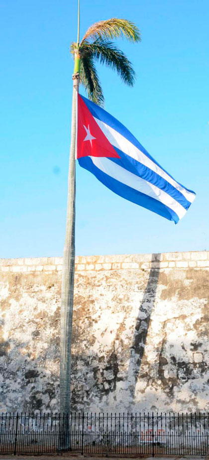 Bandera cubana en palma real. Bandera cubana en palma real.