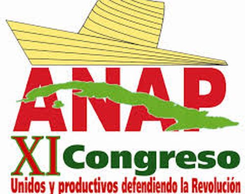 XI Congreso ANAP