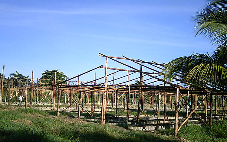 Casas rústicas en el organopónico Las Marianas, de Santa Clara.
