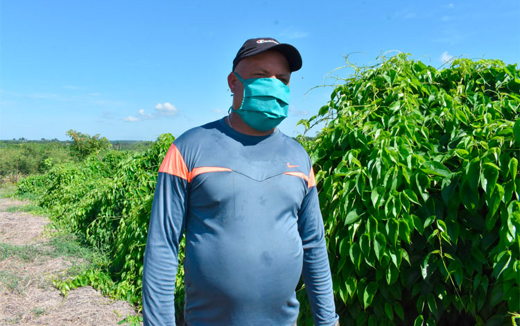 Raidel (Roly) García Díaz, mejor productor de ñame de Cuba. Raidel (Roly) García Díaz, mejor productor de ñame de Cuba.
