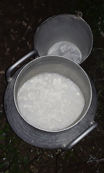 Cantinas de leche. Cantinas de leche.