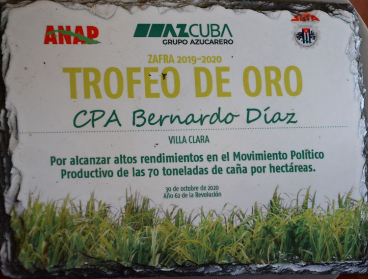 Reconocimiento recibido por la cooperativa Bernardo Díaz. Reconocimiento recibido por la cooperativa Bernardo Díaz.