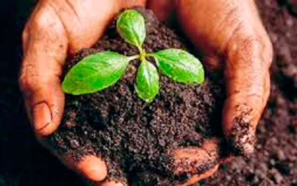 Empleo de bioproductos en la agricultura. Empleo de bioproductos en la agricultura.