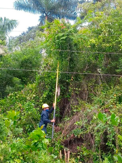 Linieros trabajan para restablecer el servicio eléctrico tras el paso de la tormenta tropical Laura. Linieros trabajan para restablecer el servicio eléctrico tras el paso de la tormenta tropical Laura.