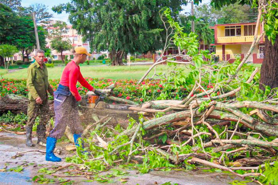 Recogida de árboles derribados por el huracán en Granma.