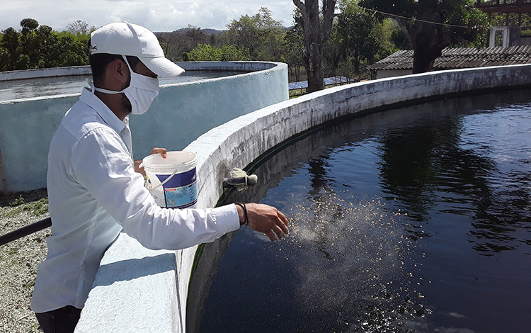 Leandro Cano, productor de peces para la alimentación. Leandro Cano, productor de peces para la alimentación.