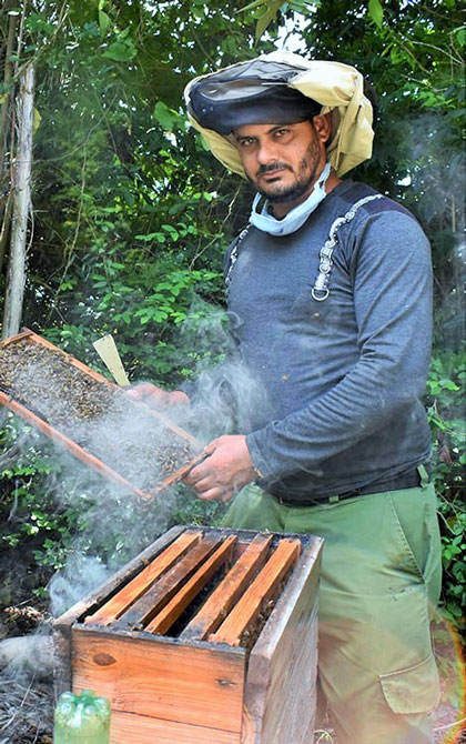 Lisdany Guillén, apicultor de Villa Clara. Lisdany Guillén, apicultor de Villa Clara.