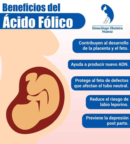 Beneficios del ácido fólico.