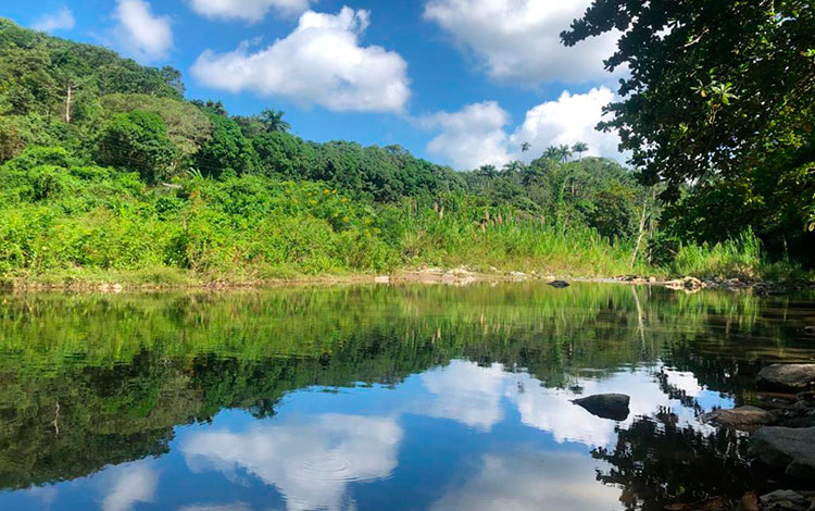 Paisaje campestre con río.