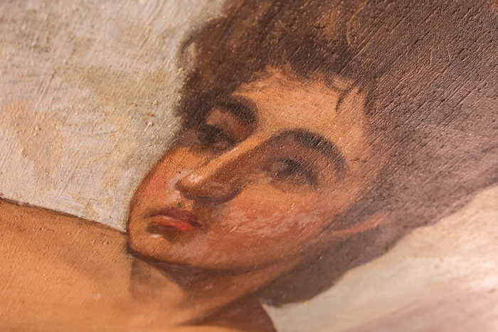 El genio, pintura en el interior del teatro La Caridad. El genio, pintura en el interior del teatro La Caridad.