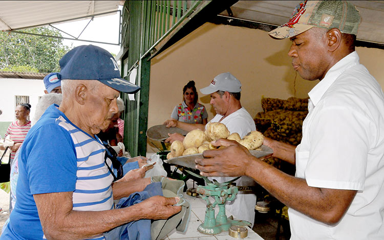Venta de papas en Villa Clara