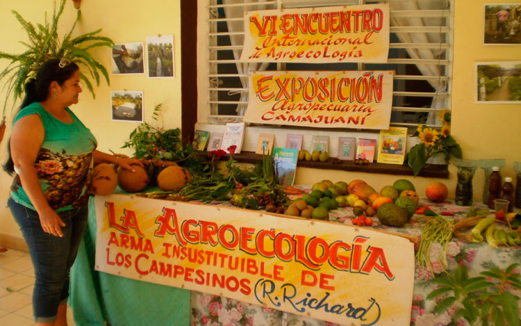 Exposición de productos agroecológicos