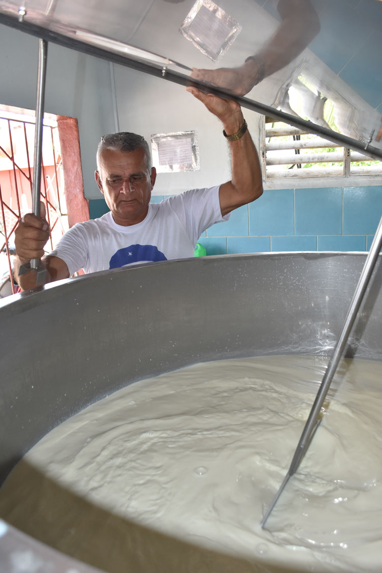 Proyecto Agrocadenas en Remedios. Proyecto Agrocadenas en Remedios.