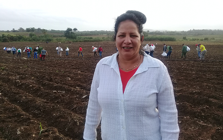Yanelis Saborido Pérez, delegada de la Agricultura del municipio Encrucijada. (Foto: Francisnet Díaz Rondón) Yanelis Saborido Pérez, delegada de la Agricultura del municipio Encrucijada. (Foto: Francisnet Díaz Rondón)