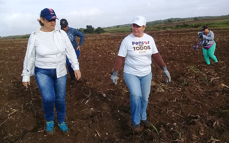 La primera secretaria del PCC en Villa Clara, Yudí Rodríguez Hernández (derecha), encabezó la actividad. (Foto: Francisnet Díaz Rondón) La primera secretaria del PCC en Villa Clara, Yudí Rodríguez Hernández (derecha), encabezó la actividad. (Foto: Francisnet Díaz Rondón)