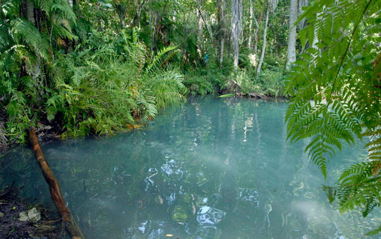 Ojo de agua en la CPA Victoria de Girón, en Corralillo, Villa Clara. Ojo de agua en la CPA Victoria de Girón, en Corralillo, Villa Clara.