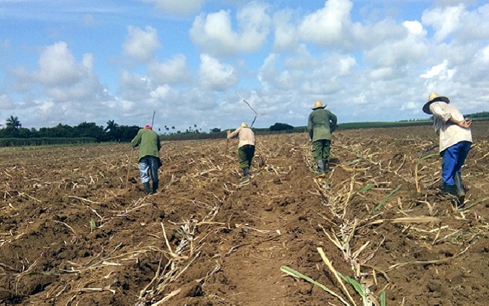 Zafra, Villa Clara