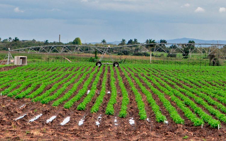 Valle del Yabú en Santa Clara