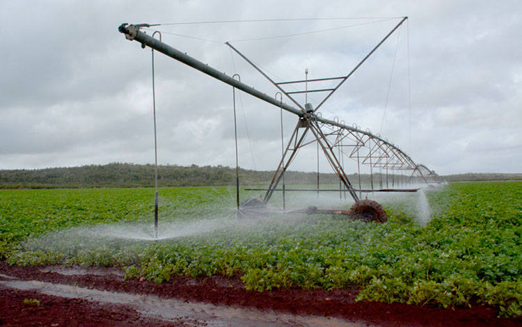 Máquinas de riego en plantaciones de Quemado de Gí¼ines. Máquinas de riego en plantaciones de Quemado de Gí¼ines.