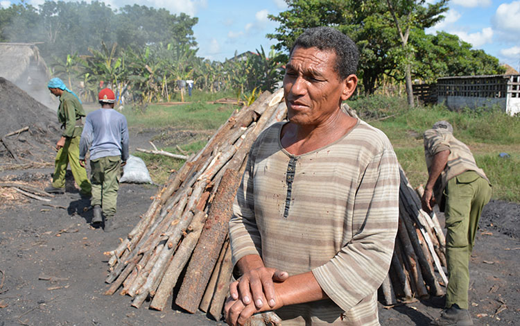 Ricardo Castillo, carbonero de Las Tunas que labora en Sabanas de Manacas, Villa Clara. Ricardo Castillo, carbonero de Las Tunas que labora en Sabanas de Manacas, Villa Clara.