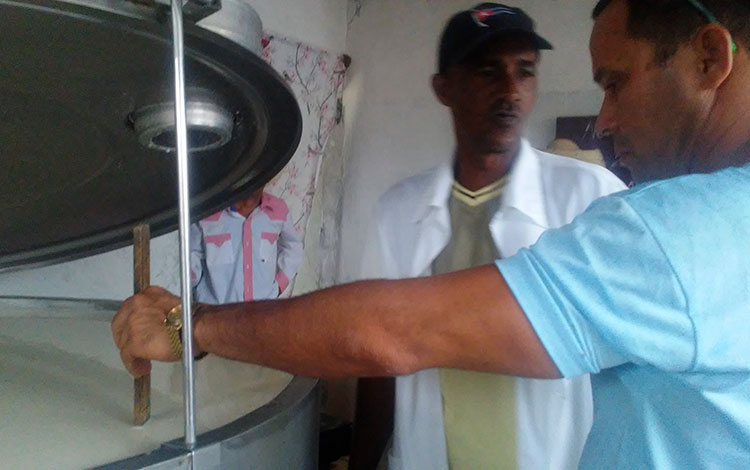 Acopio de leche para la industria de Villa Clara.