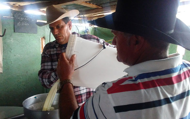 Ganaderos destacados de la CCS Pedro Lantigua, de Corralillo, Villa Clara.