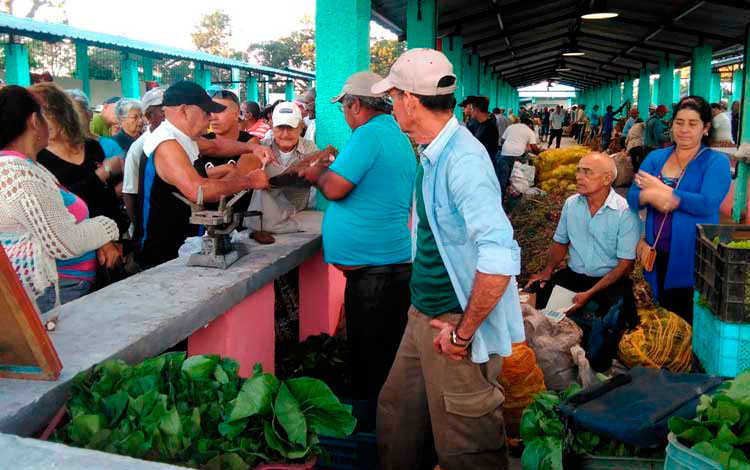 Mercado agropecuario en Santa Clara