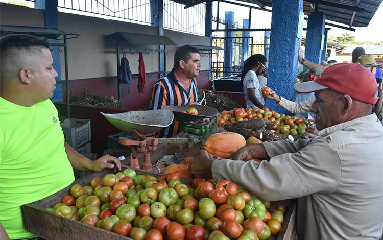 Feria agropecuaria por fin de año
