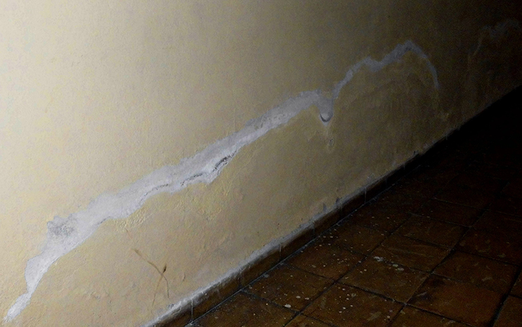 Problemas constructivos en la sede del Guiñol de Santa Clara. Humedad en las paredes de la sede del Guiñol de Santa Clara.