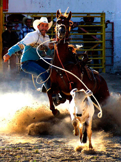 Obra Ases del rodeo, de Luisa Martina Hernández Valdés. Obra Ases del rodeo, de Luisa Martina Hernández Valdés.