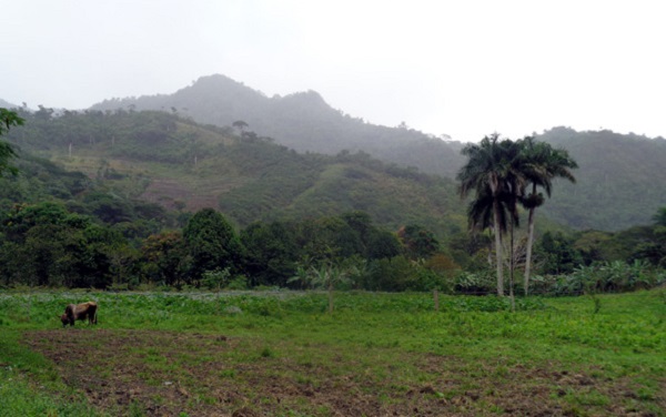 Vanguardia - Villa Clara - Cuba