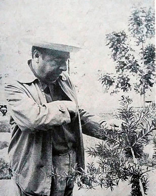 Pablo Neruda en su visita a Viñales, en Pinar del Río, Cuba. Pablo Neruda en su visita a Viñales, en Pinar del Río, Cuba.