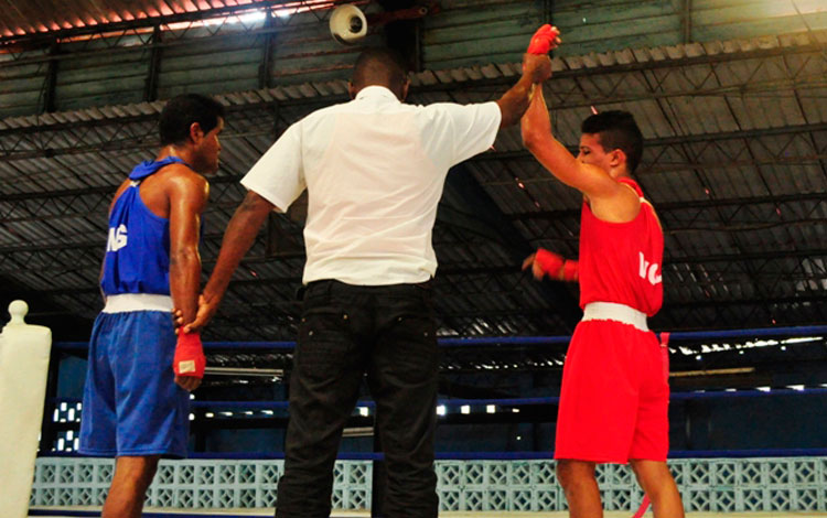Serie Nacional de boxeo