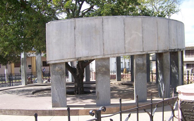 Tamarindo fundacional, 2018 Tamarindo fundacional, 2018