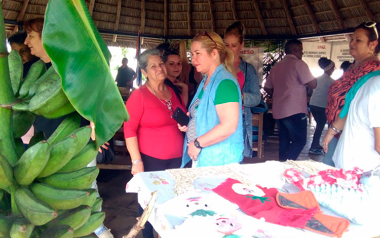 Recorrido por el Plan Turquino-Bamburanao.