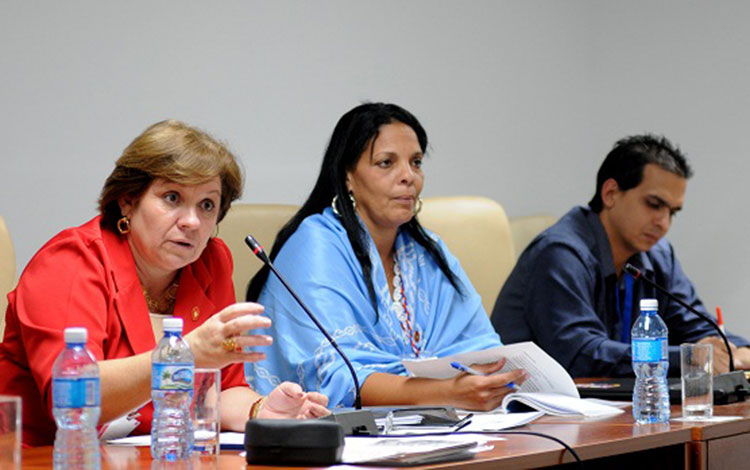 Comisiones de Salud y Defensa de la ANPP.