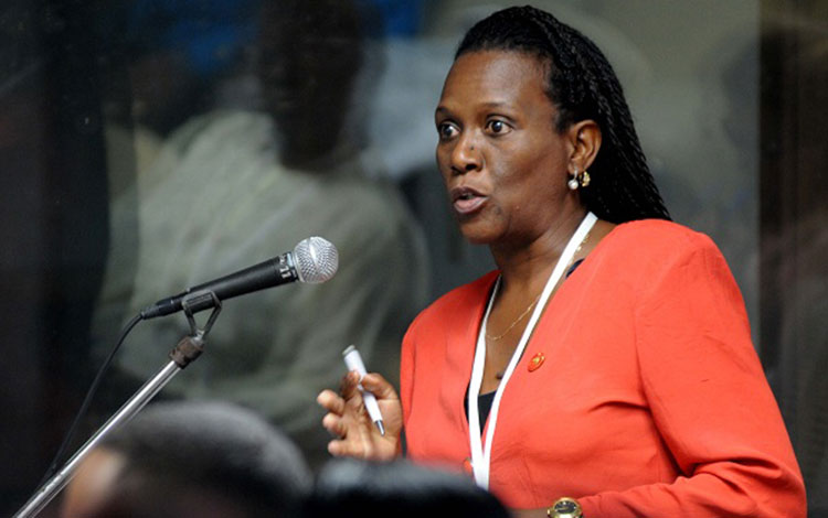 Diputada en debate de Comisiones de Salud y Defensa.