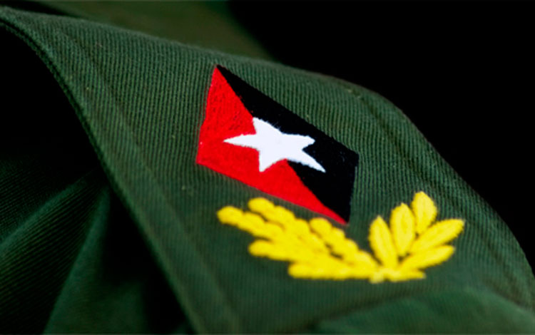 Homenaje a Fidel