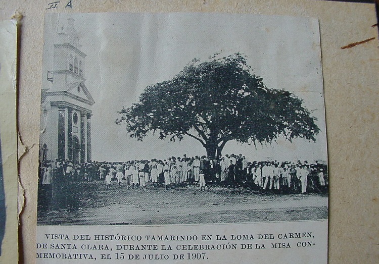 Tamarindo de la fundación, 1907 Tamarindo de la fundación, 1907