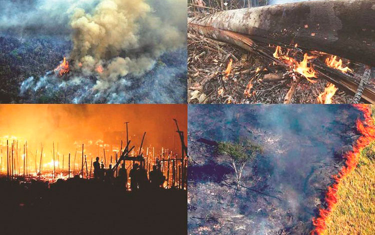 Incendio en el Amazonas