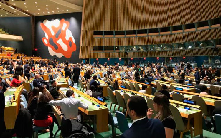 Asamblea General de la ONU.