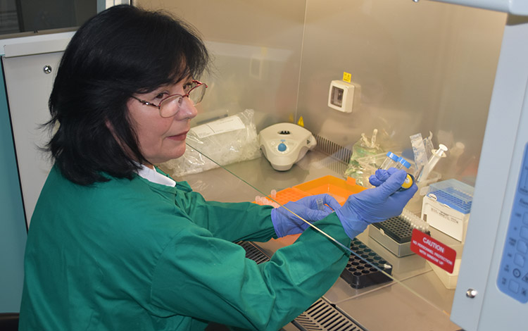 Laboratorio de Biología Molecular de Villa Clara
