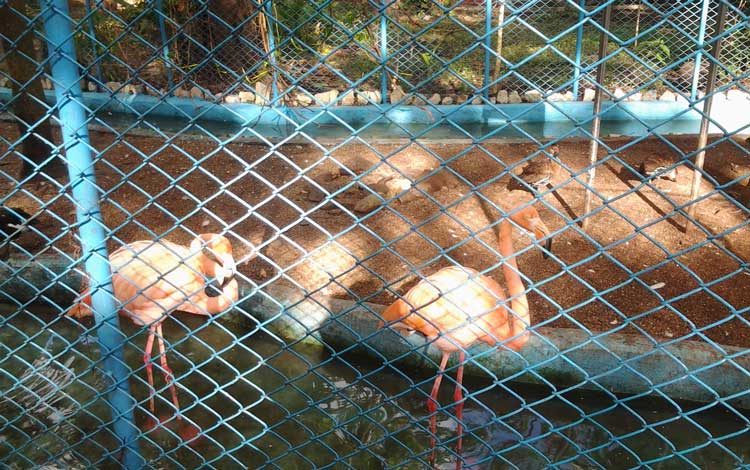 Zoológico de Santa Clara