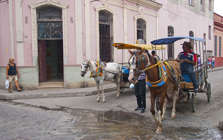  coches de tracción animal